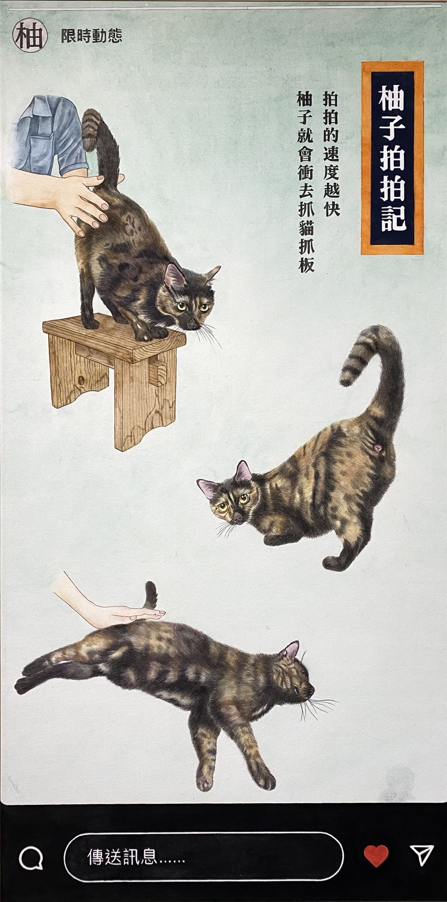 HSU,SHU-NING Pomelo Pat-Pat Diary